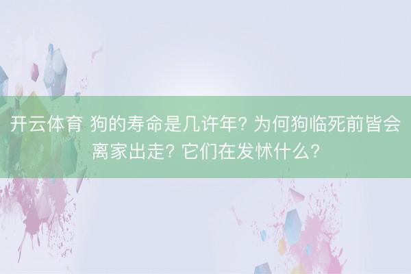 開云體育 狗的壽命是幾許年? 為何狗臨死前皆會離家出走? 它們在發怵什么?