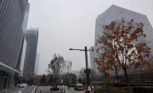 北京新國貿上線火雞大餐,外賣比堂食還能省300塊