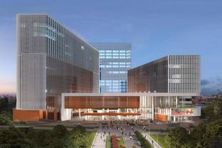 6個月7萬平米結構封頂 中建一局再創深圳速度