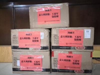 分秒必爭 海外僑胞同心抗疫 北京國際貿易